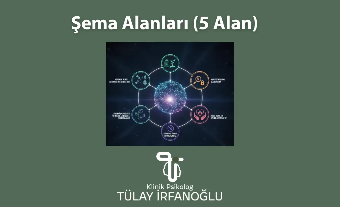 Şema terapideki beş temel şema alanını gösteren bilgilendirici görsel