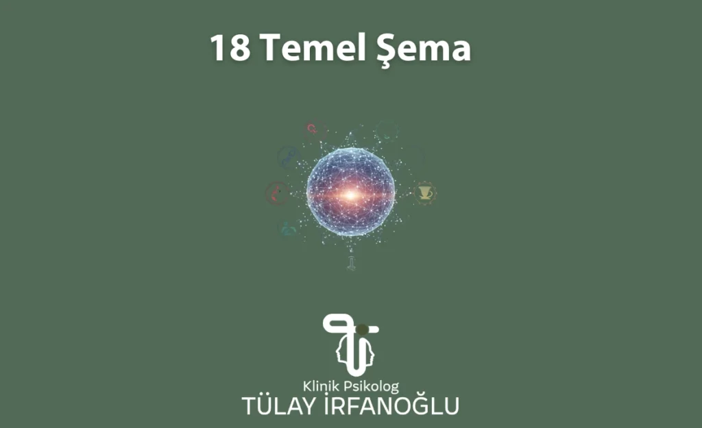 Şema terapideki 18 temel şemayı ve zihinsel yapıları simgeleyen açıklayıcı diyagram görseli.