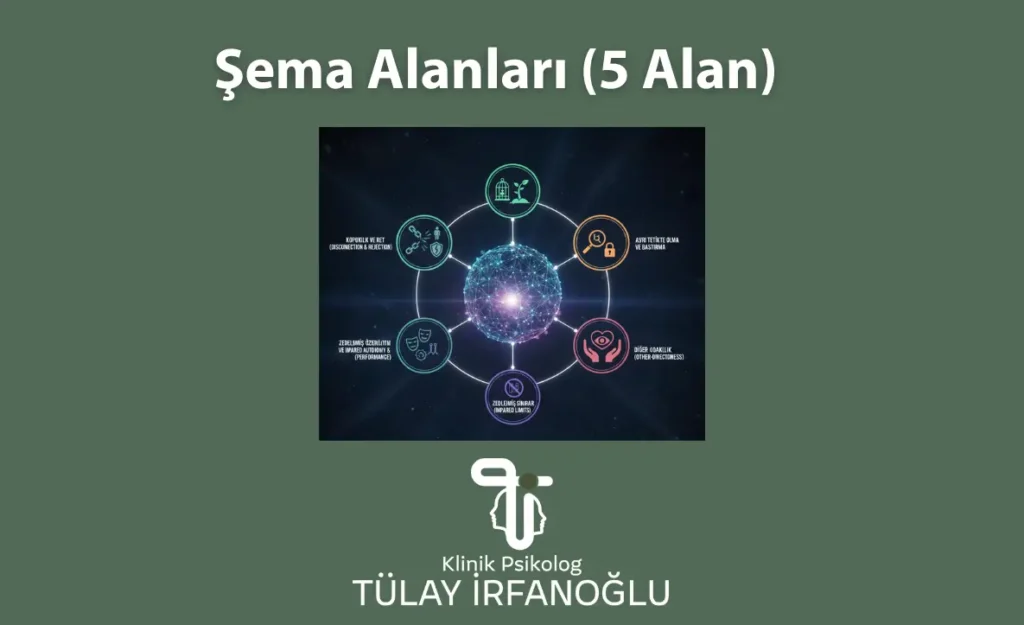 Şema terapideki 5 temel şema alanını (Kopukluk ve Ret, Zedelenmiş Özerklik, Zedelenmiş Sınırlar, Diğer Odaklılık, Aşırı Tetikte Olma) gösteren klinik psikoloji diyagramı.