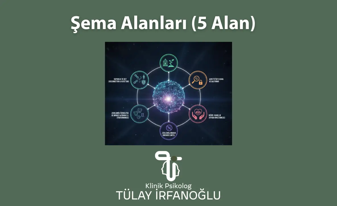 Şema terapideki 5 temel şema alanını (Kopukluk ve Ret, Zedelenmiş Özerklik, Zedelenmiş Sınırlar, Diğer Odaklılık, Aşırı Tetikte Olma) gösteren klinik psikoloji diyagramı.